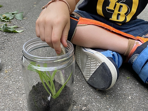 Sommerlager 2025 der besonderen Volksschule der Stiftung Rossfeld 