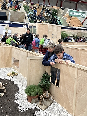 Besuch an der BEA 2024