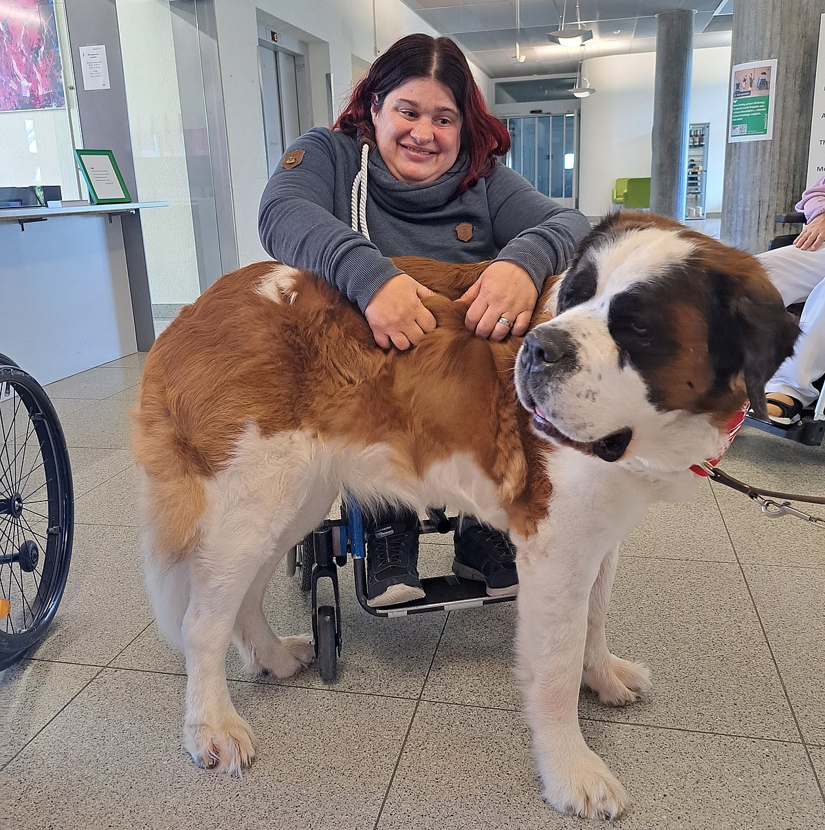 TV Tipp Tierisch auf Telebärn 27 April 18.30 Uhr