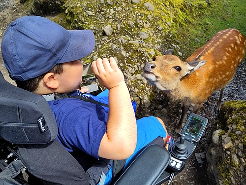 Sommerlager 2025 der besonderen Volksschule der Stiftung Rossfeld 
