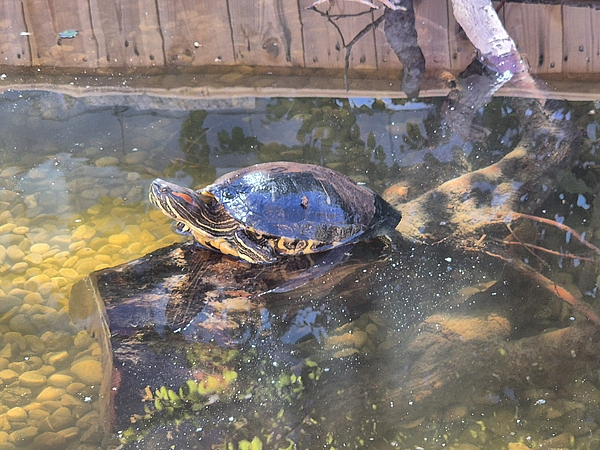 Bewohner und Bewohnerinnen der Stiftung Rossfeld an der BEA 2025