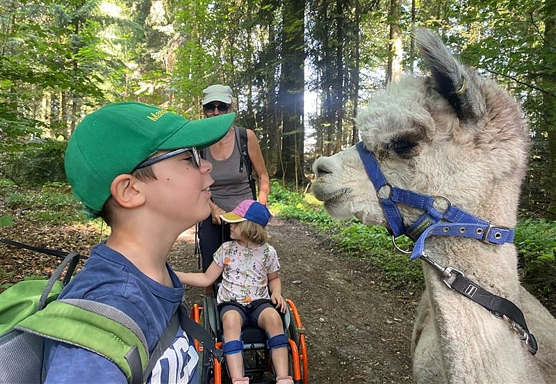 Projektwoche der Schulbildung Rossfeld 2023