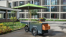 Neues Glace Velo der Stiftung Rossfeld