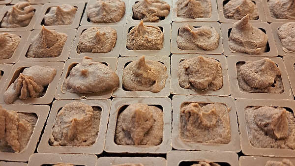 Schokoladenwoche in der Tagesstruktur