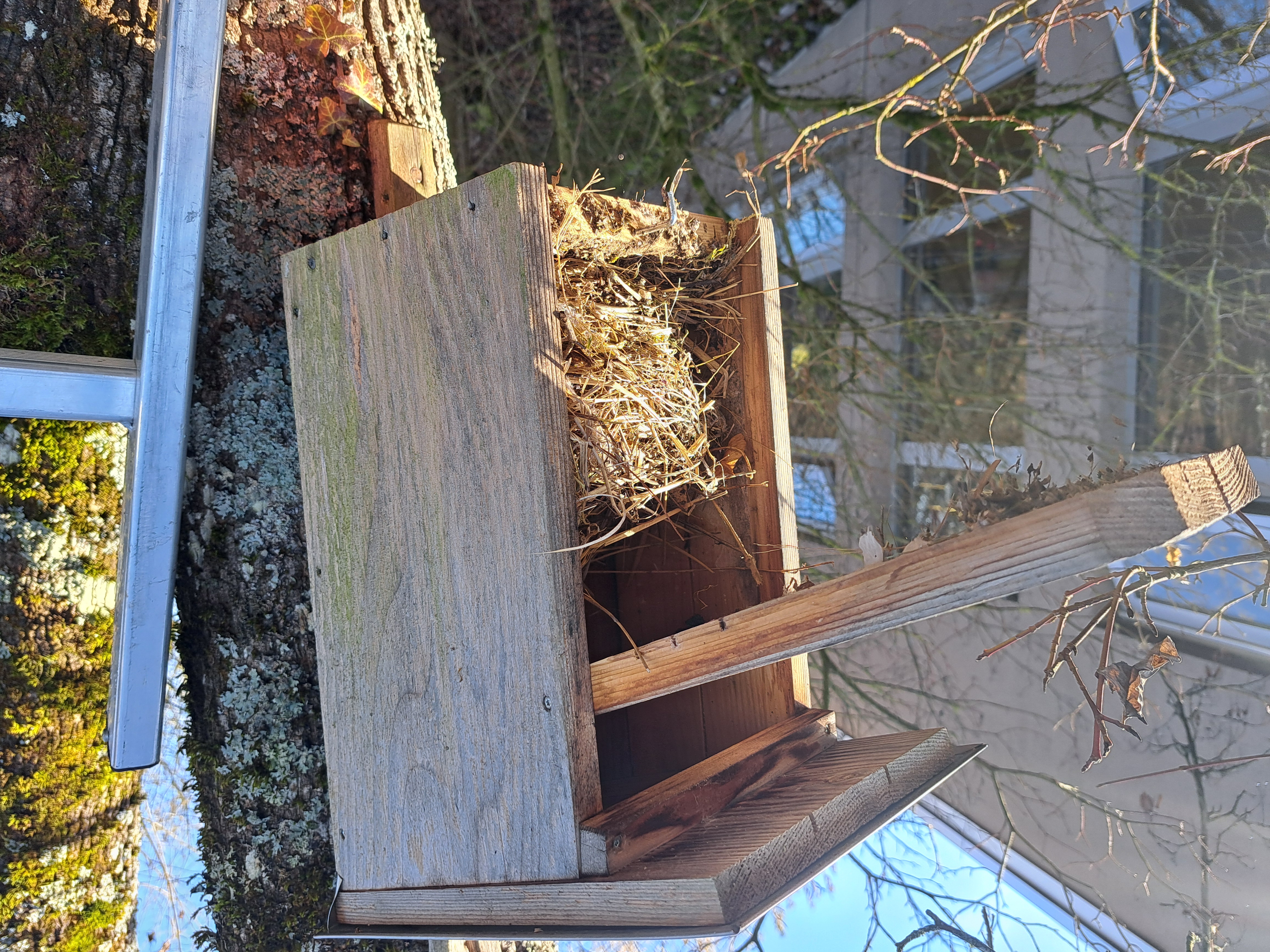 belegter Nistkasten